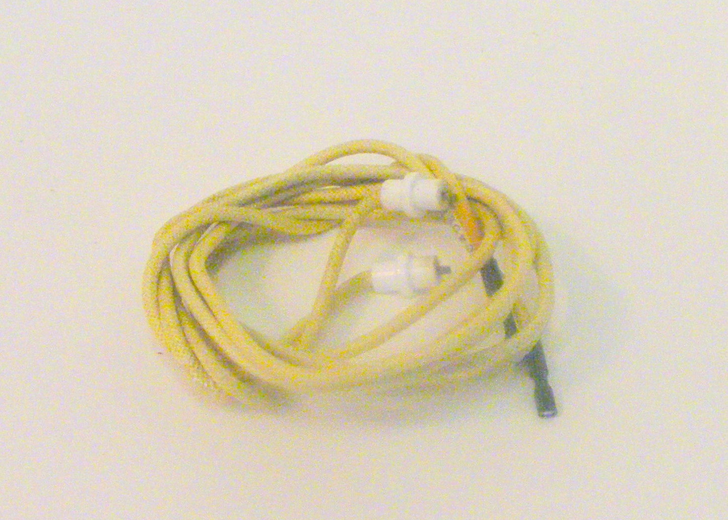 316081705 burner ignitor