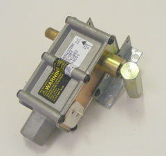 5303208499 gas valve