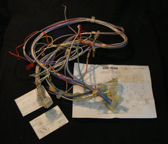 JBV42G001AD Wiring Harness schematic