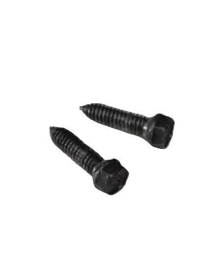 WR01X10650 ge door hinge screws