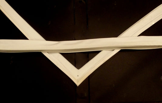 216522309 door gasket