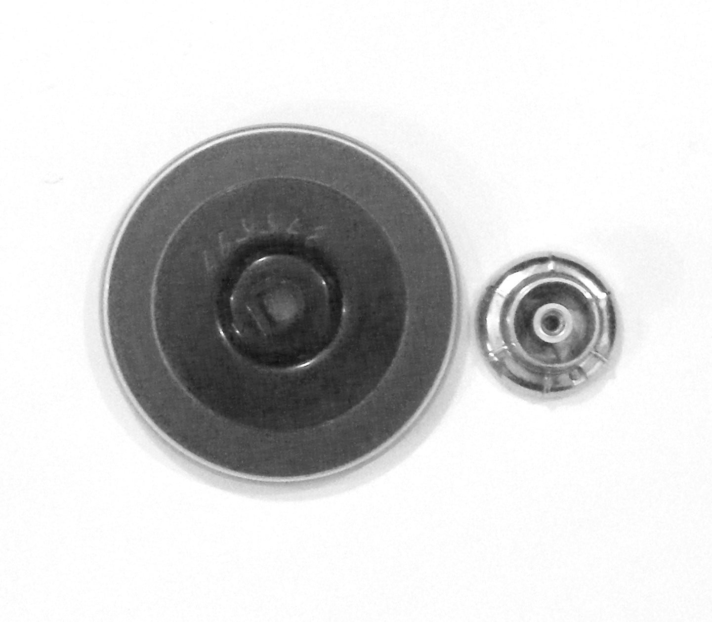 knob and dial back