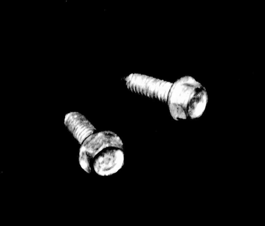 5303001479 screw