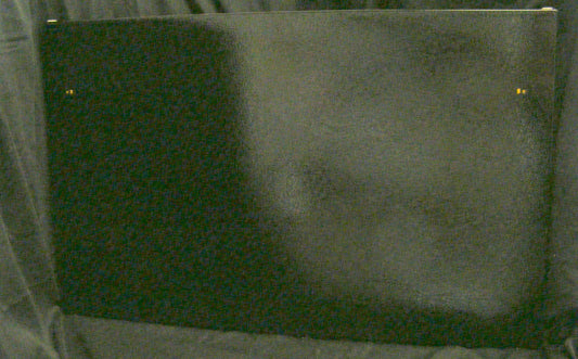 5303918031 Frigidaire Refrigerator New Black Freezer Outer Door Panel