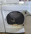 Used Reconditioned LG White Electric Dryer