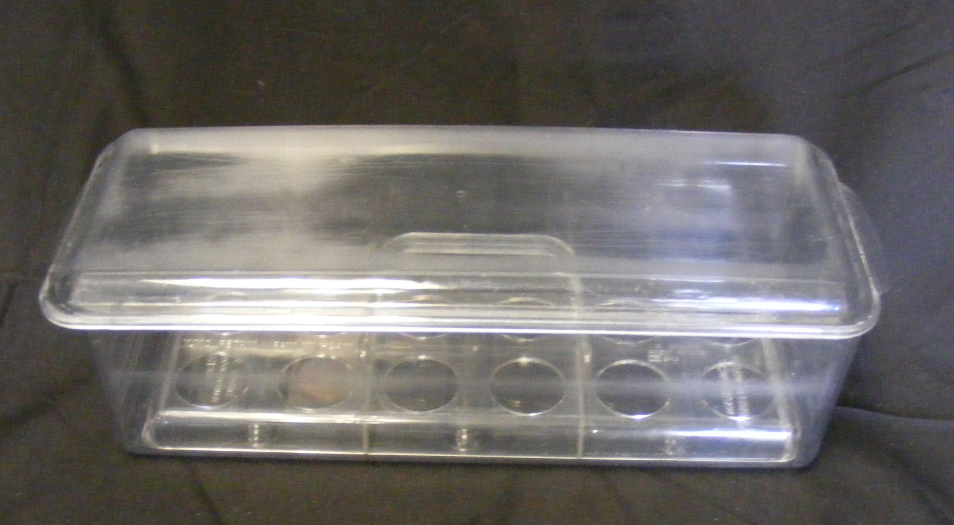 egg cover2