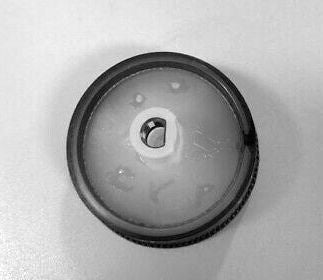 W10756270 knob back