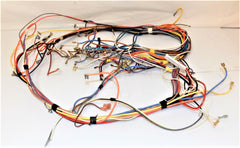 wiring harness for control board